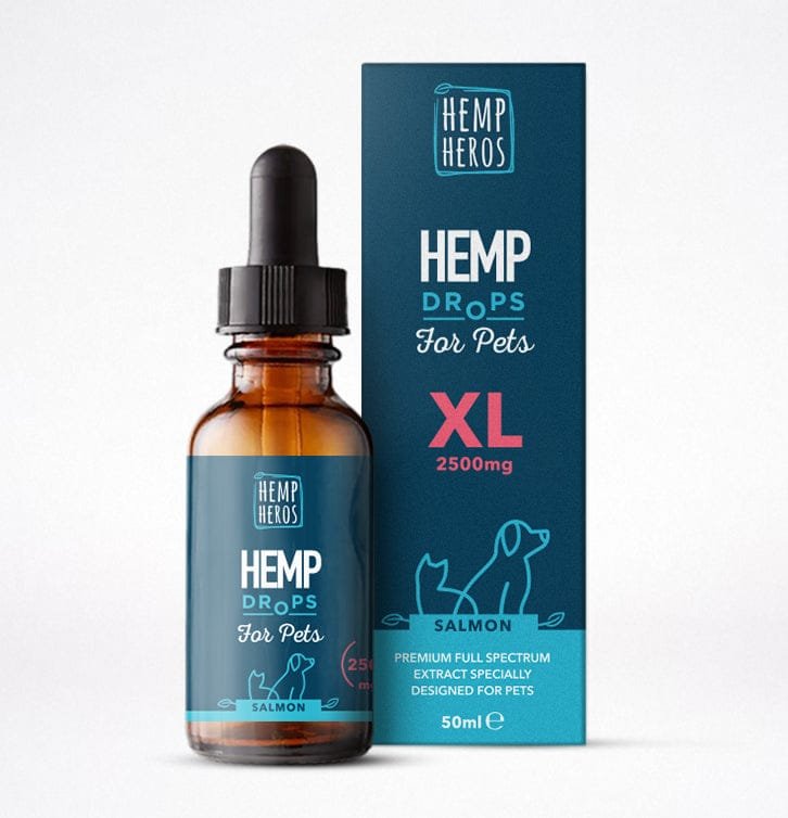 WhatsApp Image 2026-02-10 at 7.11.28 PM (3)